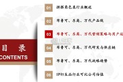 搭拼类角色玩具行业报告：积木重构生态，IP点亮星火（47页）