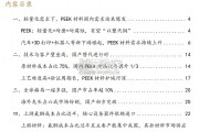 PEEK行业报告：高壁垒的轻量化材料（35页）