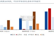 黑电行业报告：新兴市场篇（29页）