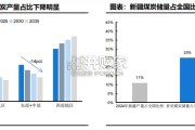 煤炭行业报告：新疆煤炭（54页）