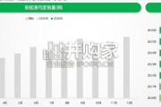 新能源乘用车市场深度分析报告（31页）