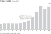 中国奢侈品市场报告（28页）