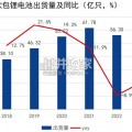 消费类锂电池行业报告（56页）