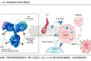 抗体偶联药物（ADC）行业报告：靶点多元化+IO联用创新，开启肿瘤精准治疗新周期（46页）