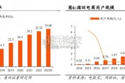 循环电商行业报告（32页）