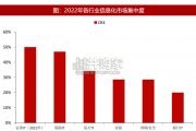 计算机行业信息化及安全行业报告（52页）