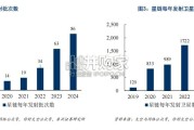 卫星互联网行业报告：商业航天发射场工位数快速增长（22页）