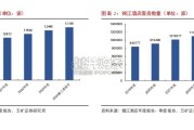 中国酒店行业格局分析报告（34页）