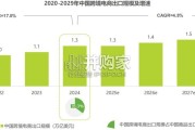 中国跨境电商SaaS市场行业报告（40页）