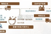 第三方中药代煎市场分析报告（38页）