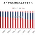 汽车行业报告：智驾时代来临（49页）