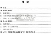 中国AOPA电动超轻型飞行器行业发展报告（30页）