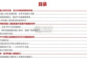 人形机器人行业报告：轻量化、PEEK材料（58页）