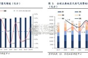 中国各类气源成本及竞争力分析报告（35页）