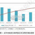 信息技术与软件服务行业2024年信用回顾与2025年展望报告（53页）