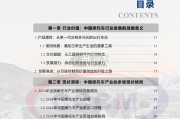 中国摩托车产业发展报告（105页）