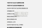 2025年中国汽车行业并购活动回顾及未来展望报告（54页）