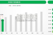 国内新能源乘用车市场深度分析报告（35页）