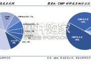 化学机械抛光CMP行业报告（15页）