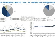 燃气价格改革报告（46页）