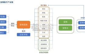 宠物医疗行业报告:宠物医院(32页)