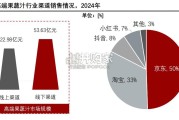 中国高端果蔬汁行业报告（21页）
