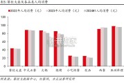 餐饮行业报告（26页）