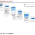 低空经济专题报告：eVTOL电机（19页）