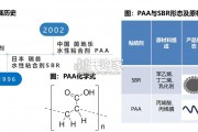 PAA行业报告：新型水性粘结剂（23页）