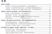 智驾芯片行业研究报告（130页）
