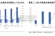 酒类流通行业报告（18页）