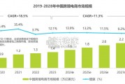 中国跨境电商软件服务行业报告（65页）