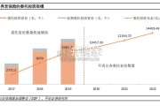中国的养老保险基金投资管理现状与前景展望报告（20页）