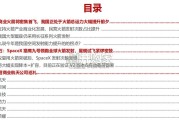 运载火箭行业报告（36页）