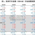 福耀玻璃在欧洲市场的发展展望报告（28页）
