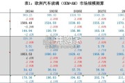 福耀玻璃在欧洲市场的发展展望报告（28页）
