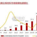 绝缘耐温云母行业报告：新能源应用驱动（33页）