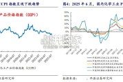 化工行业新一轮供给侧改革报告：化工反内卷（22页）
