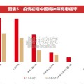 心理健康服务行业报告（47页）