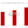 人形机器人行业报告（62页）