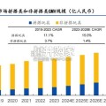 IP衍生品行业研究报告：从布鲁可看中国拼搭角色类玩具崛起（22页）