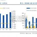 汽车行业研究报告：比较优势与龙头引领优势（19页）