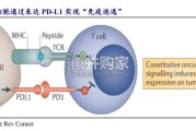 生物制品行业深度报告：PD-1VEGF双抗（30页）