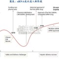 小核酸行业报告：技术平台和适应症不断验证（66页）
