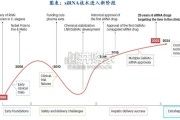 小核酸行业报告：技术平台和适应症不断验证（66页）