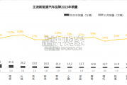 新能源汽车高端受众研究报告（37页）