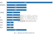 2025在美中资企业年度商业调查报告（37页）