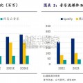 在线音乐行业报告（69页）