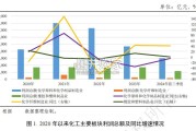 化工行业2024年信用回顾与2025年展望报告（78页）