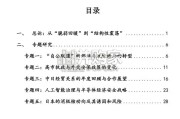 复旦大学中日关系战略报告书（35页）
